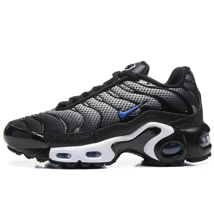 NIKE Air Max Plus "Anthracite/Blue"