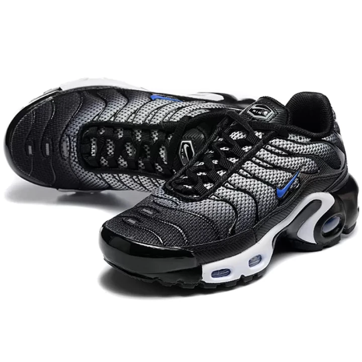 NIKE Air Max Plus "Anthracite/Blue"