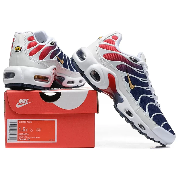 NIKE Air Max Plus X PSG