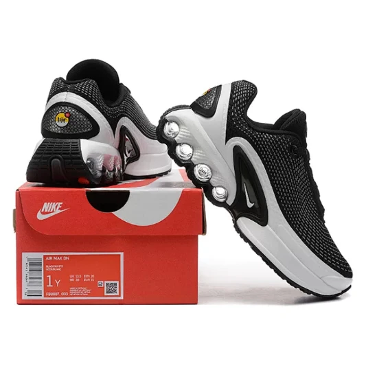 NIKE Air Max DN "Black/White"