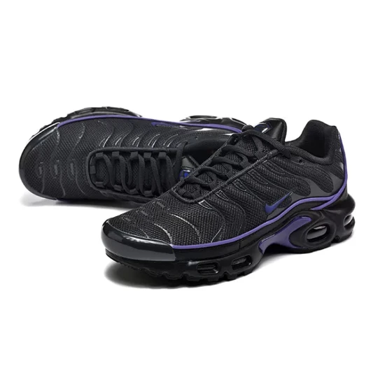 NIKE Air Max Plus "Iron Grey Wild Grape"