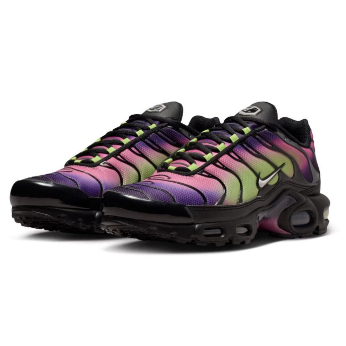 NIKE Air Max « Purple Dynasty »